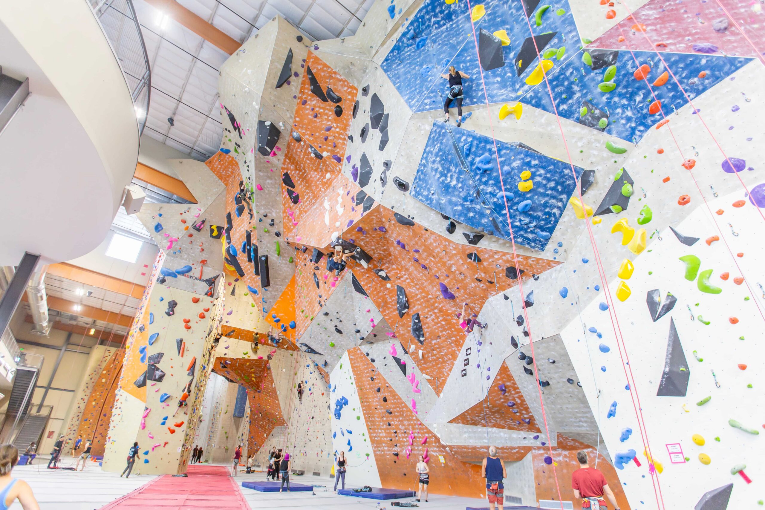 A photo of the rope walls at CRG Atlanta. People top rope and lead climb together.
