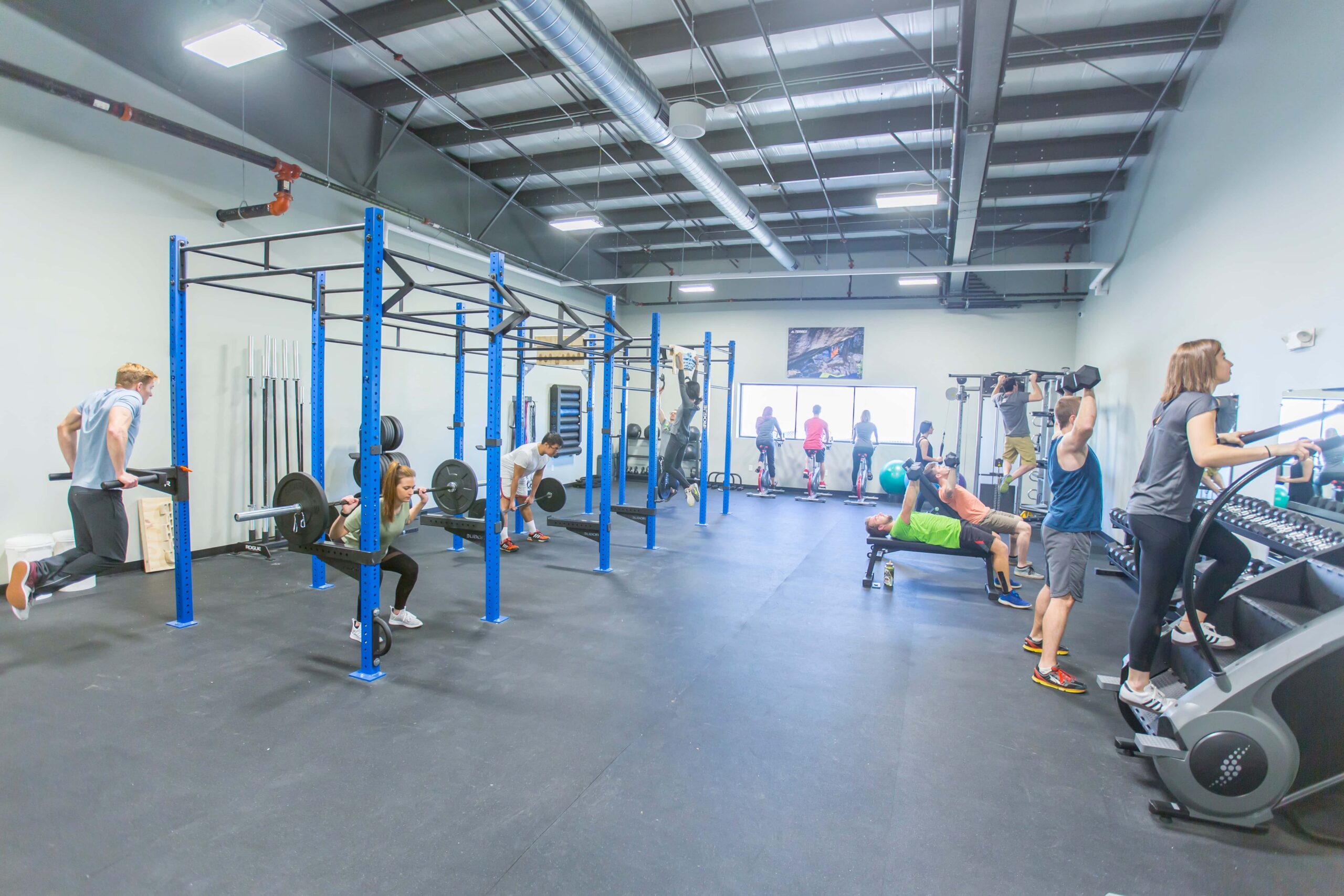 Several people are working out on cardio machines and with barbells and free weights.
