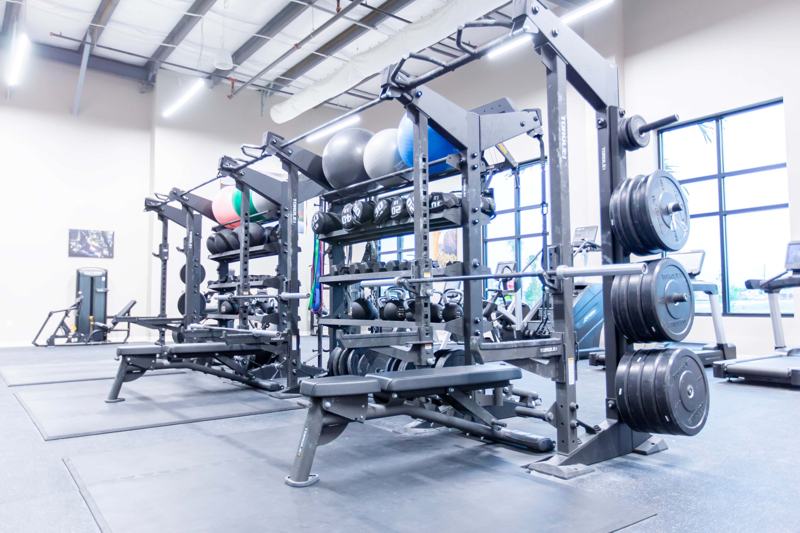 A picture of the fitness area with squat racks and more.