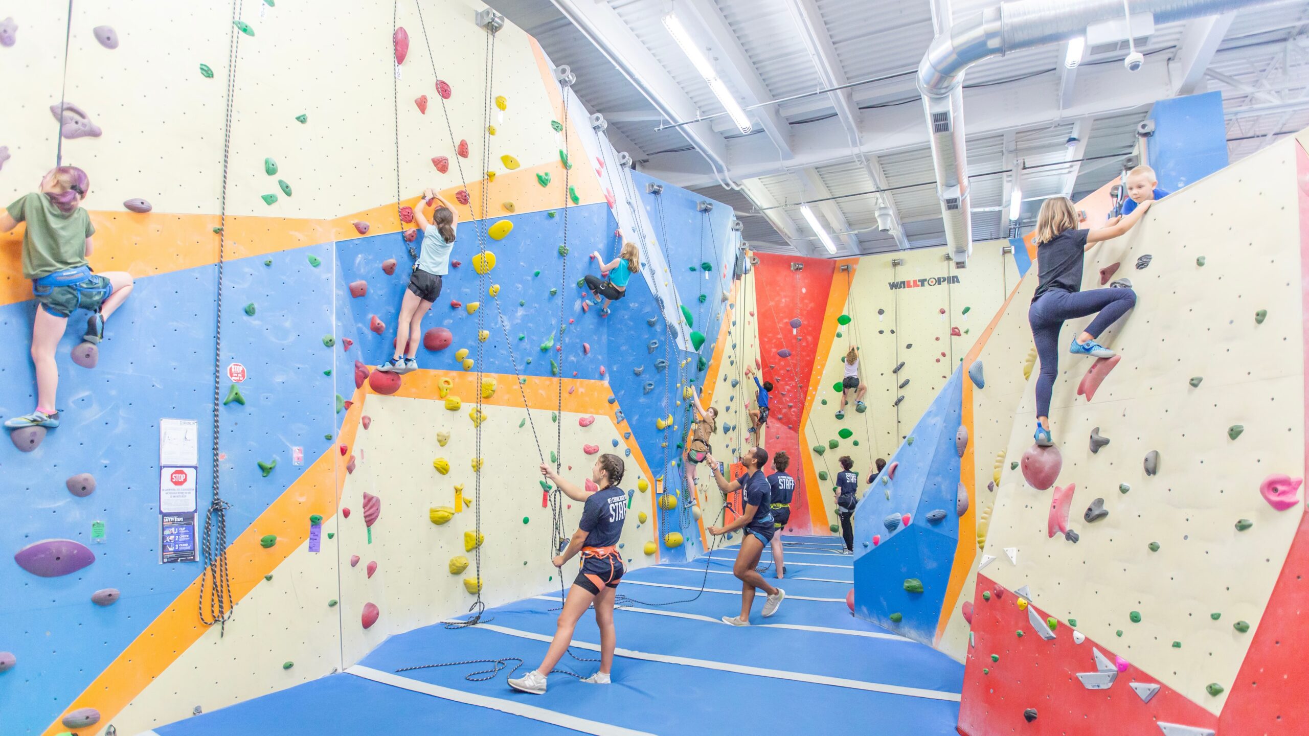 A group of kids climbing on short top rope and bouldering walls. CRG staff are belaying the climbers.