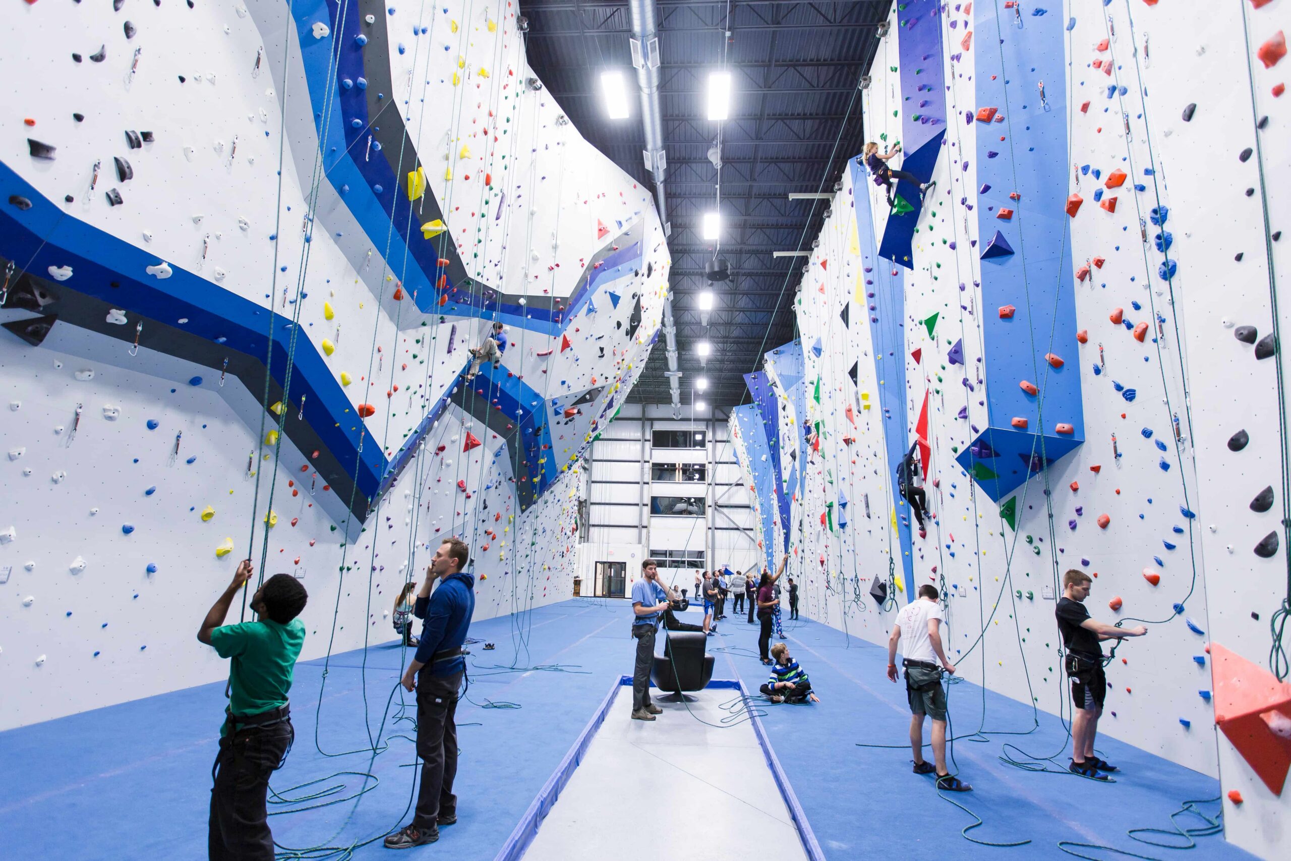 The rope walls at CRG Randolph. Climbers are on top rope and belayers are on the ground managing the ropes.