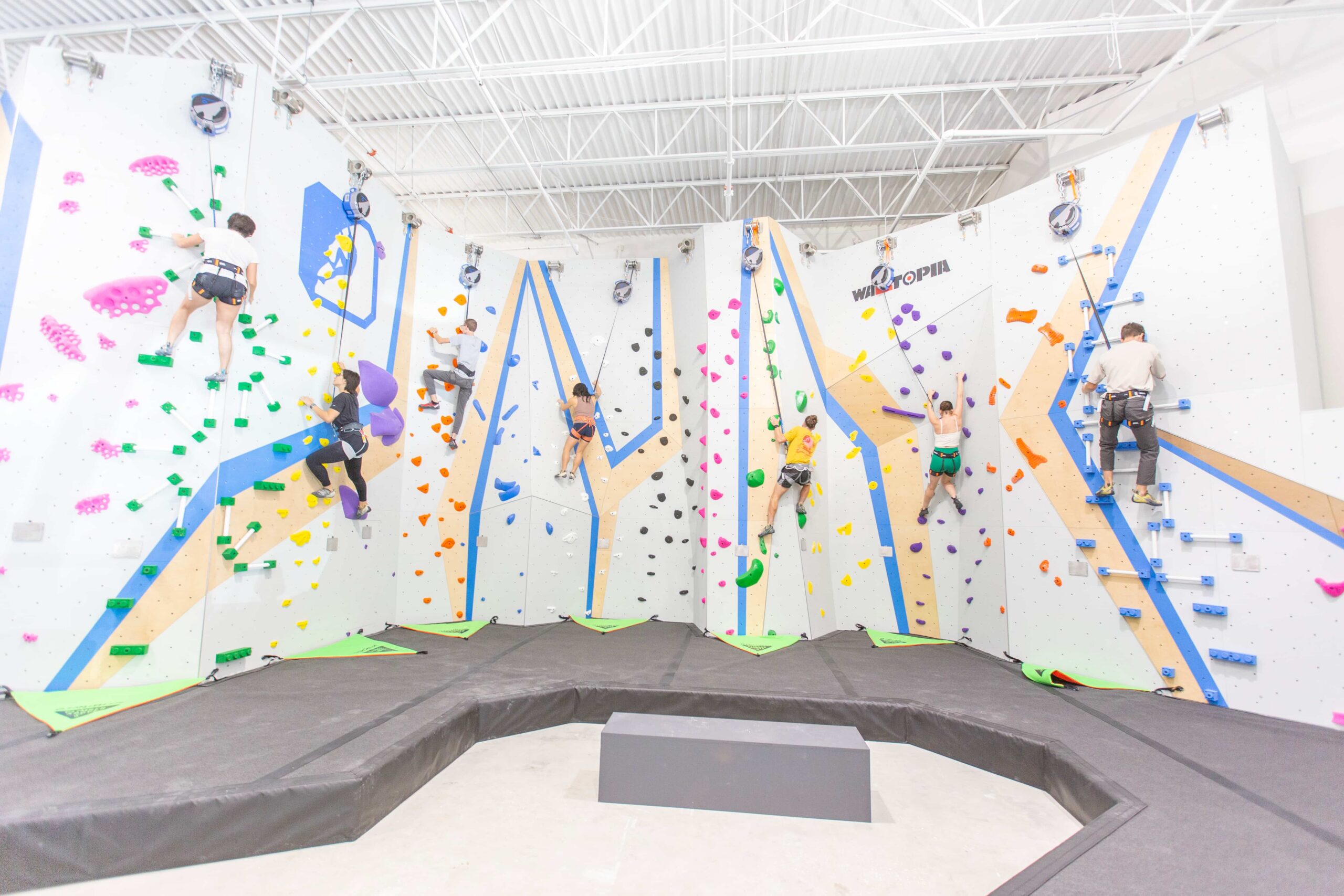 A group of people climbing on auto belays.