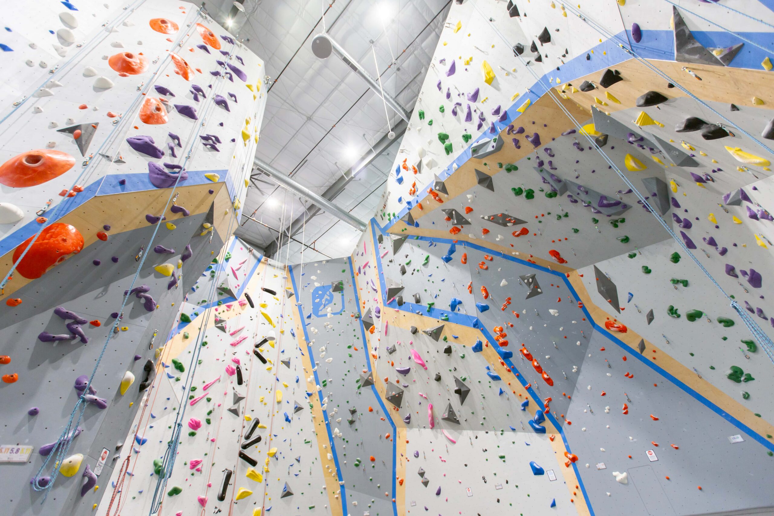 Tall rope climbing walls.