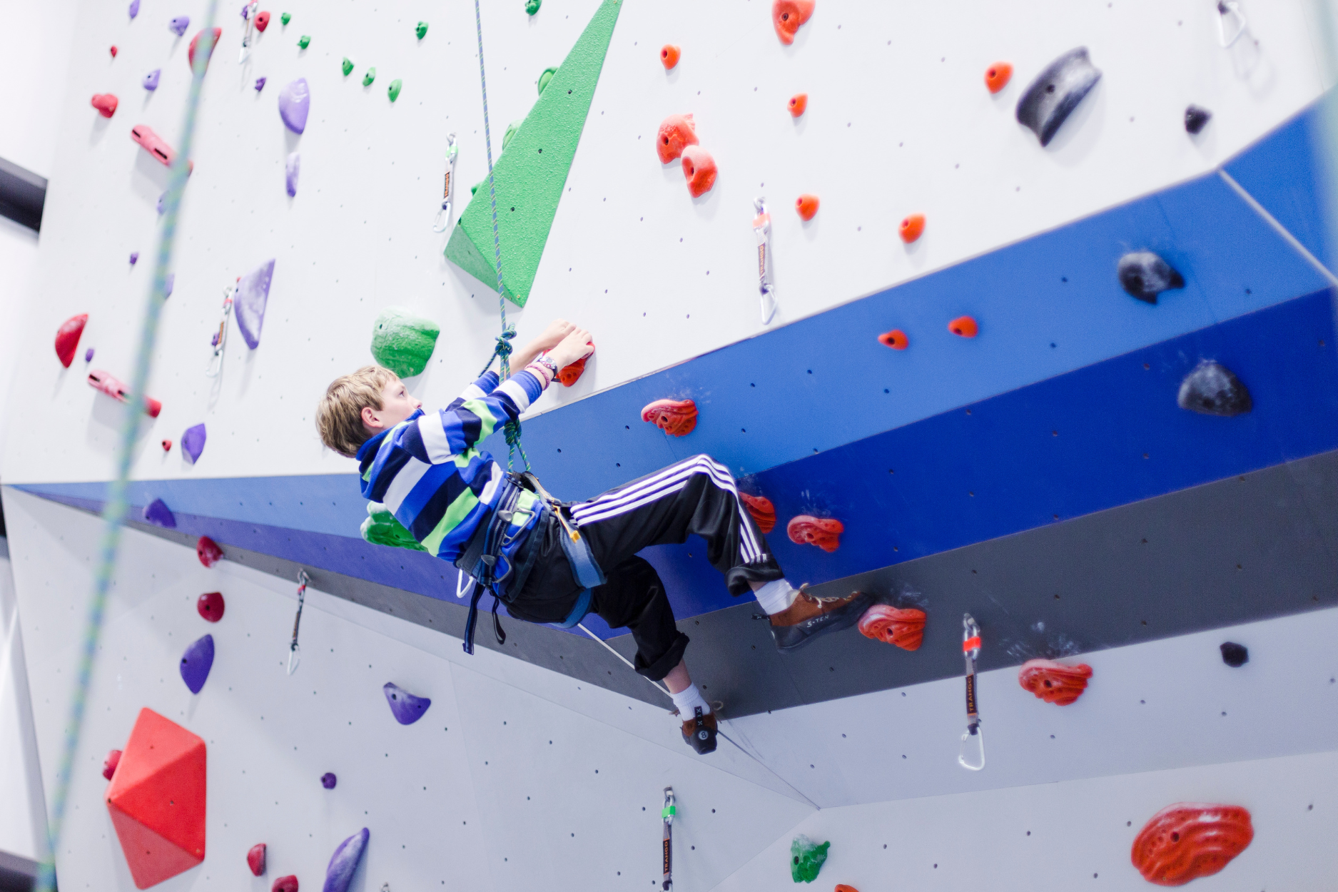 A kid climbing on a tall rope climb