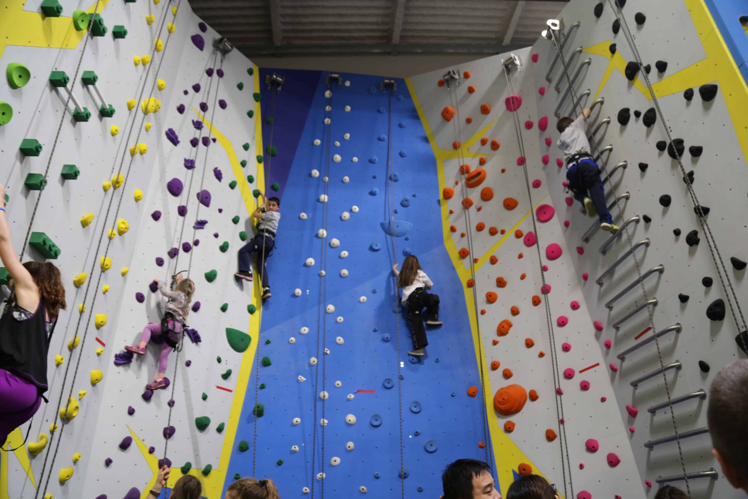 Kids are climbing top rope on a beginner friendly wall in the gym.
