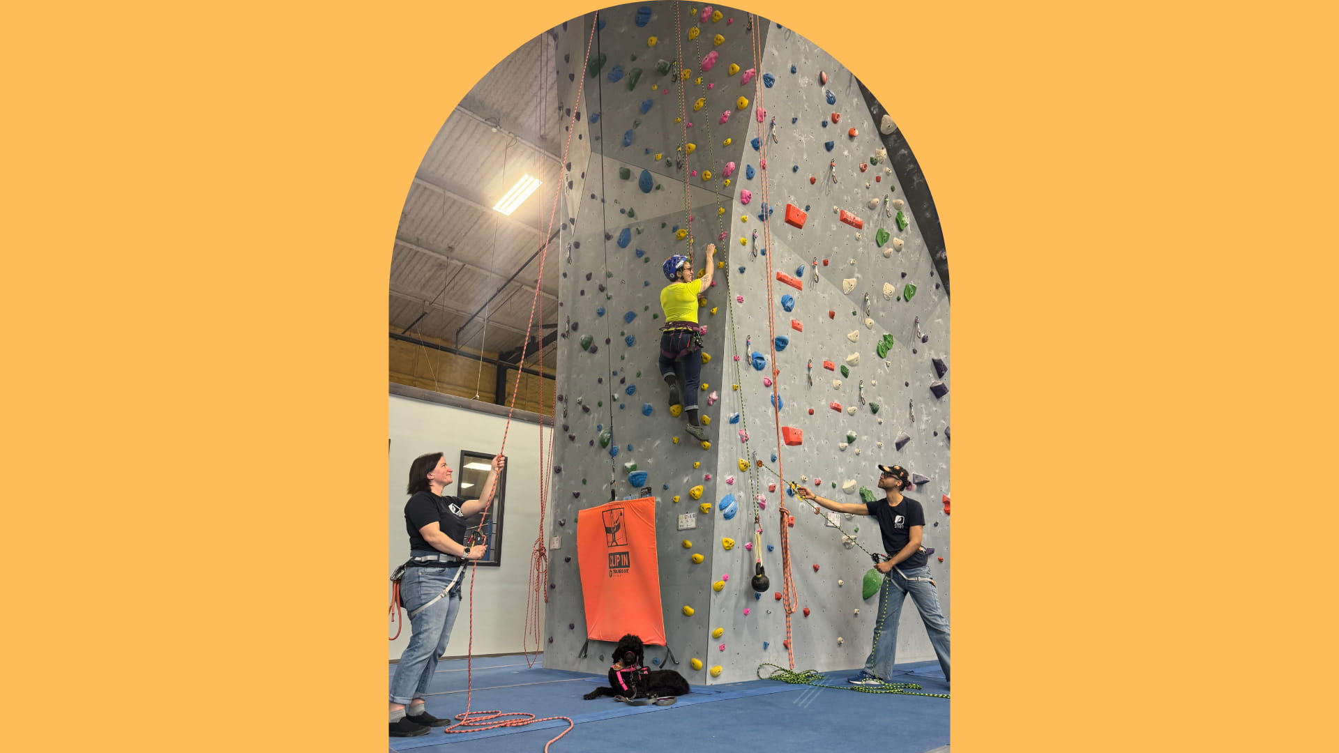 A climber on a rock gym wall is tied into two ropes to demonstrate one of the assisted top rope belay system. Two belayers stand on the ground. The climber’s service dog sits on the mat below the climber. Picture Text: We offer a double top rope belay system that acts as a counter weight. This system is for folks looking to use the climbing holds while on top rope. It will take weight off of the climber as they climb and when sitting back in the harness.
