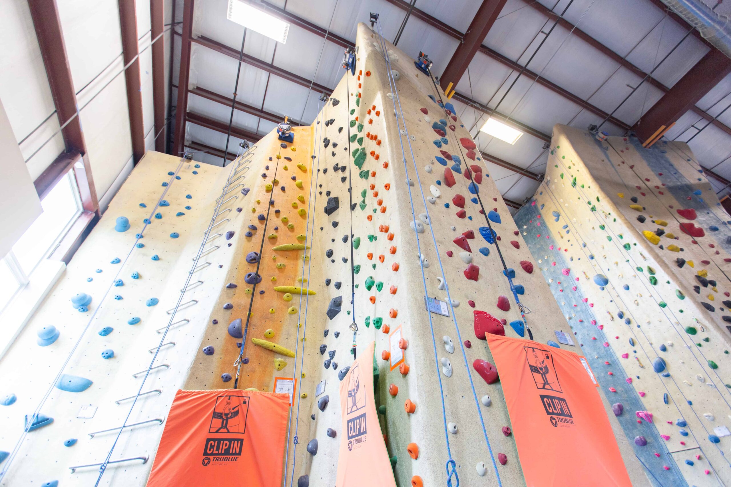 A photo of several auto belay climbs that are very beginner and kid friendly.