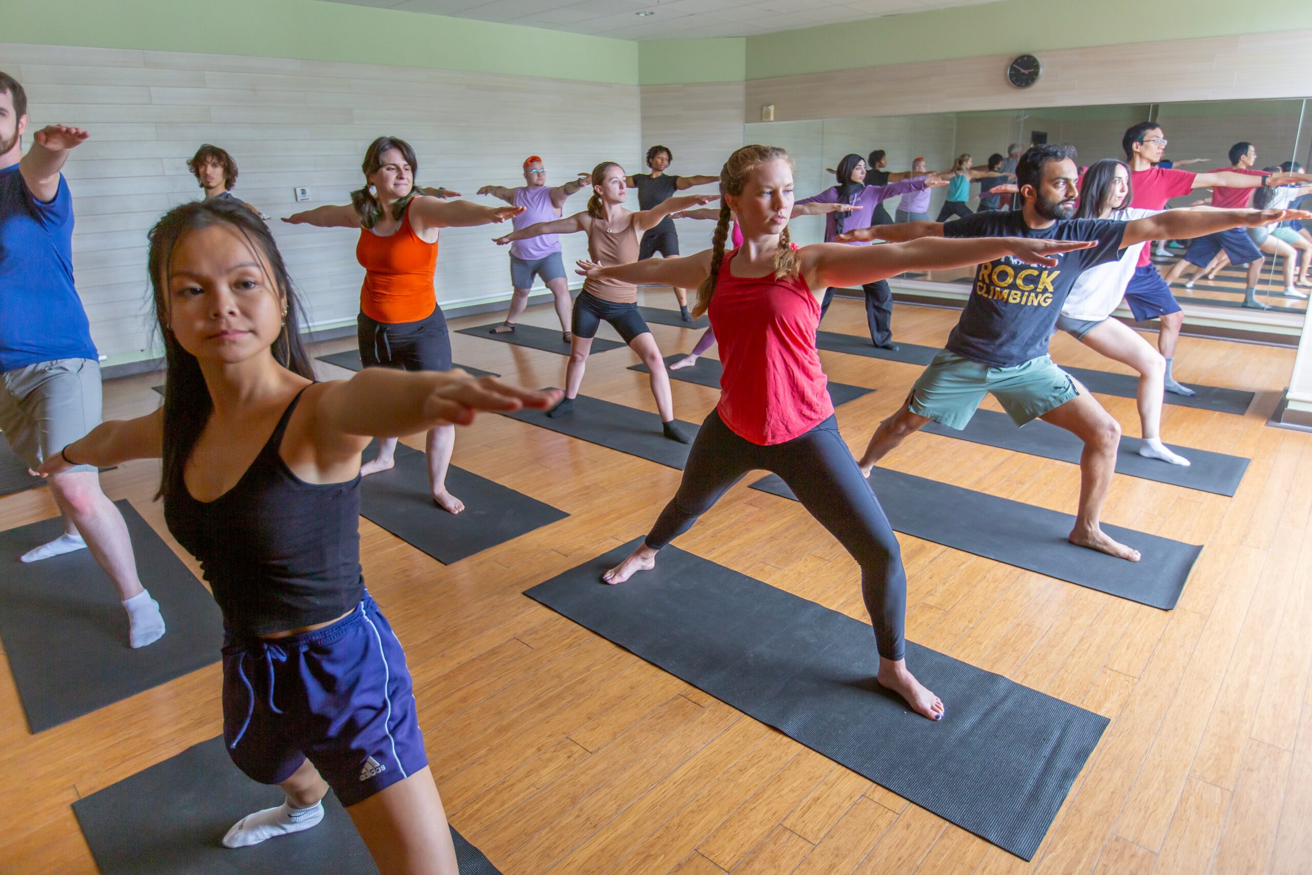 Group of Yoga Students striking a yoga pose