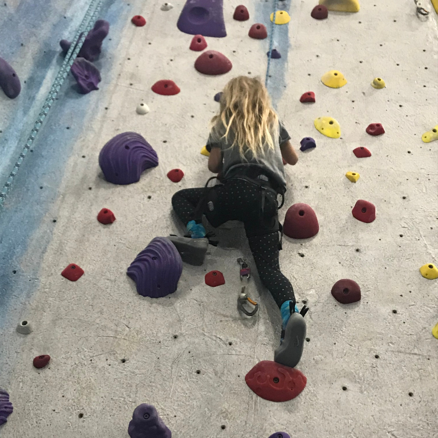 Young girl climbs red top rope route at central rock gym.