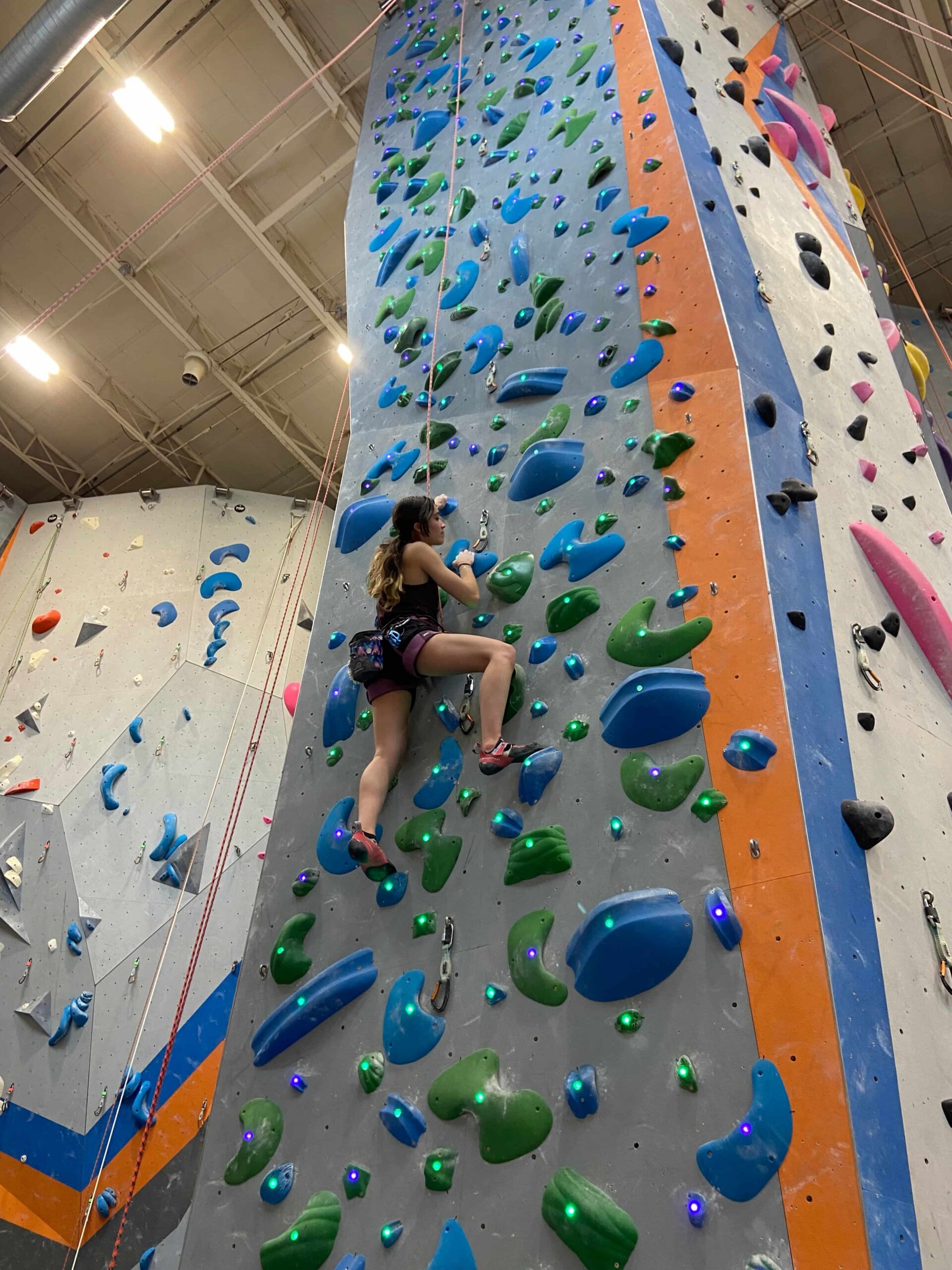 A woman Ascends a Clift System Wall on top rope.