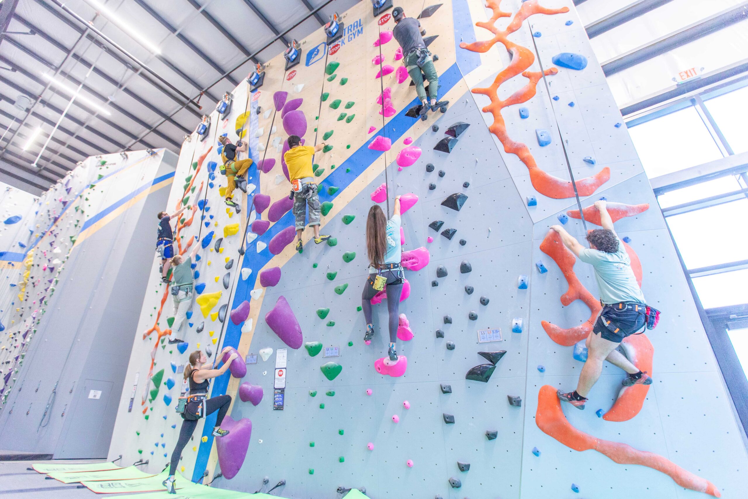 A wall with 7 auto belays full of climbers.