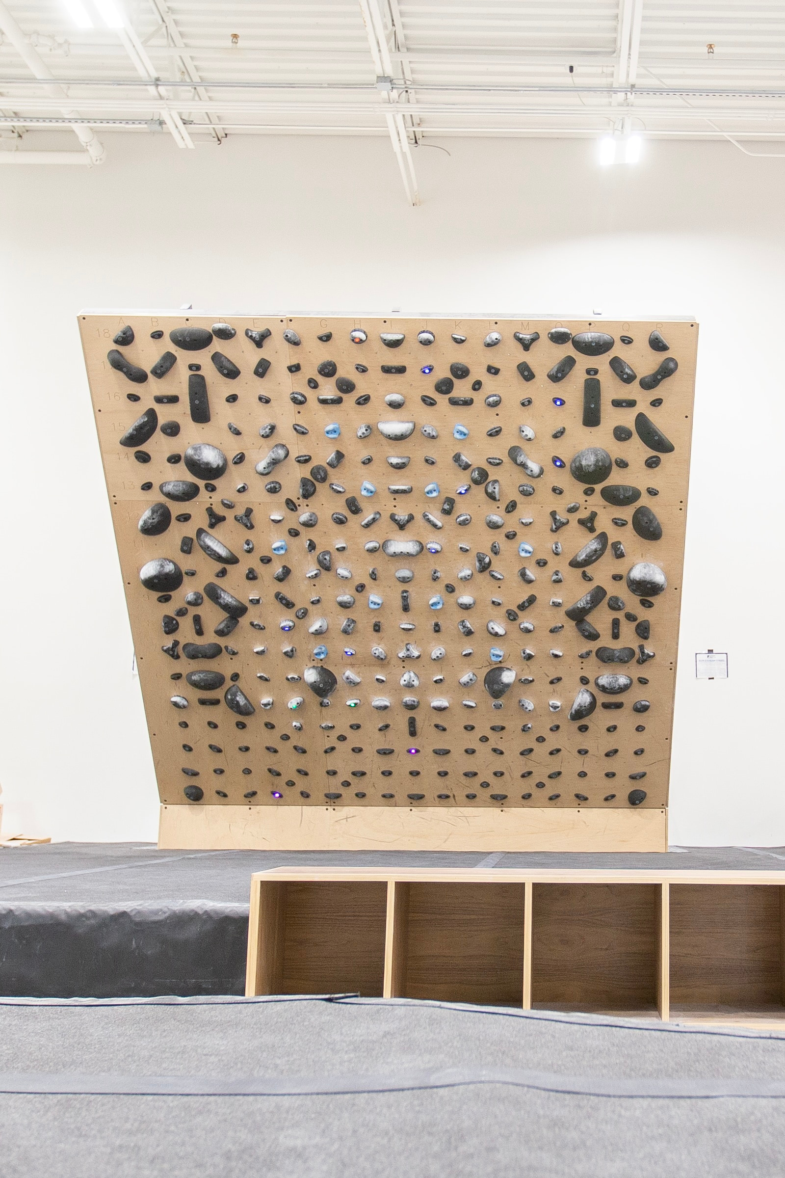 A grasshopper climbing board.
