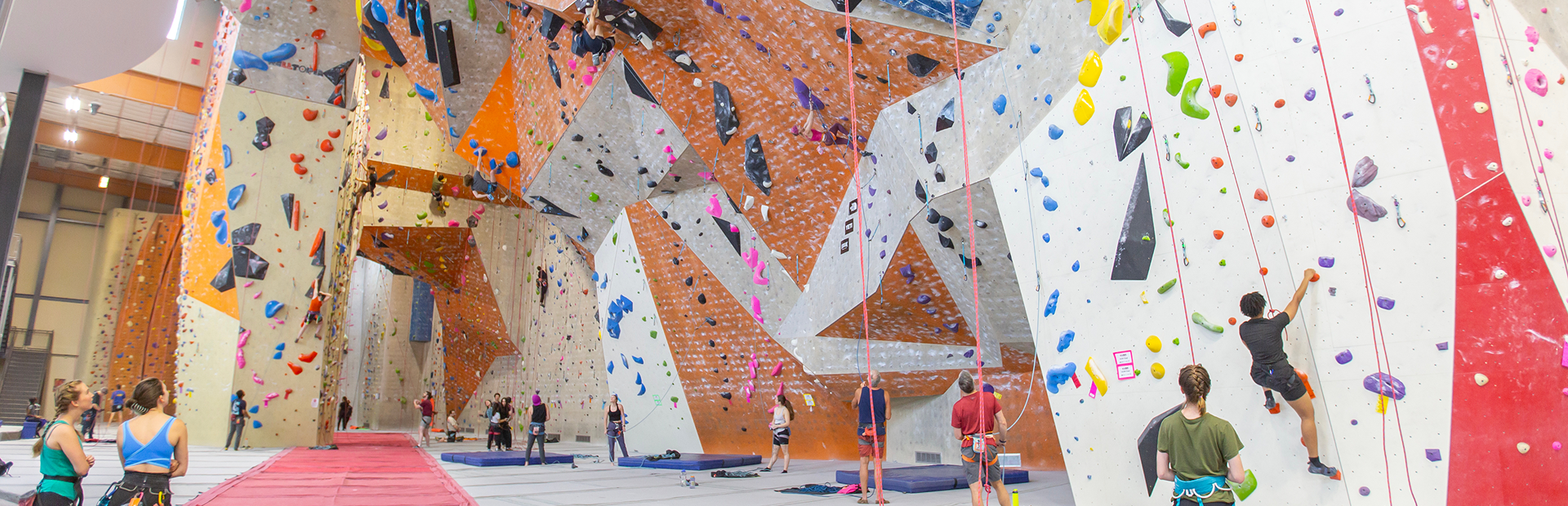 Lots of people are rope climbing in the gym and hanging out together.