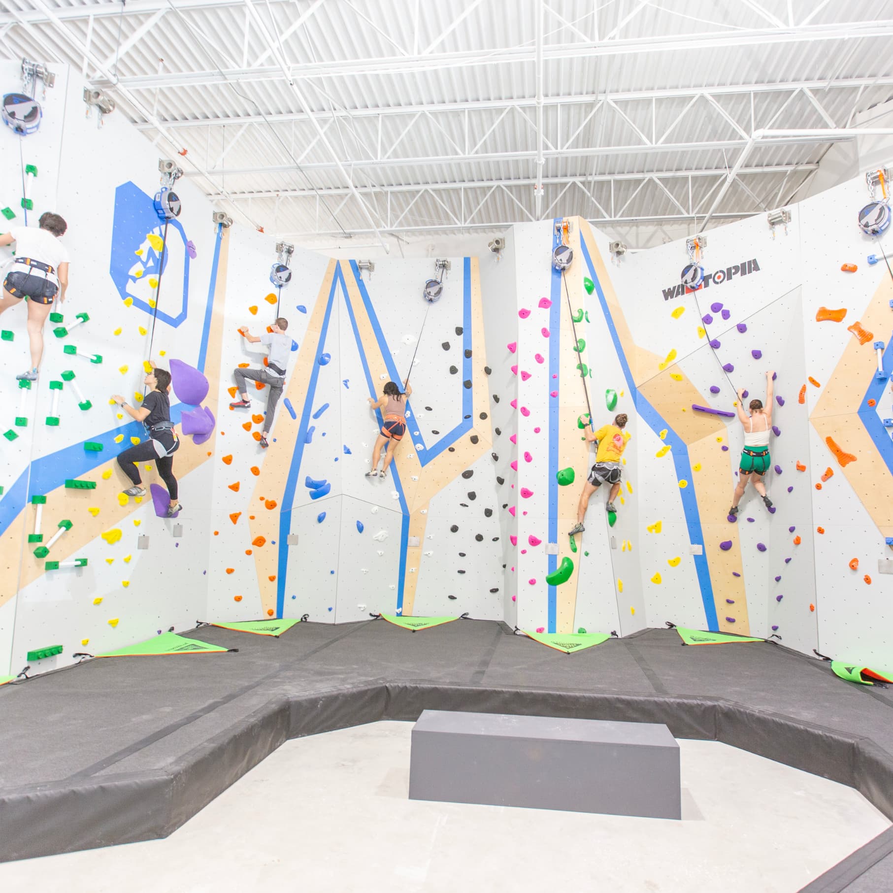 a wide photo of top rope climbing at central rock gym