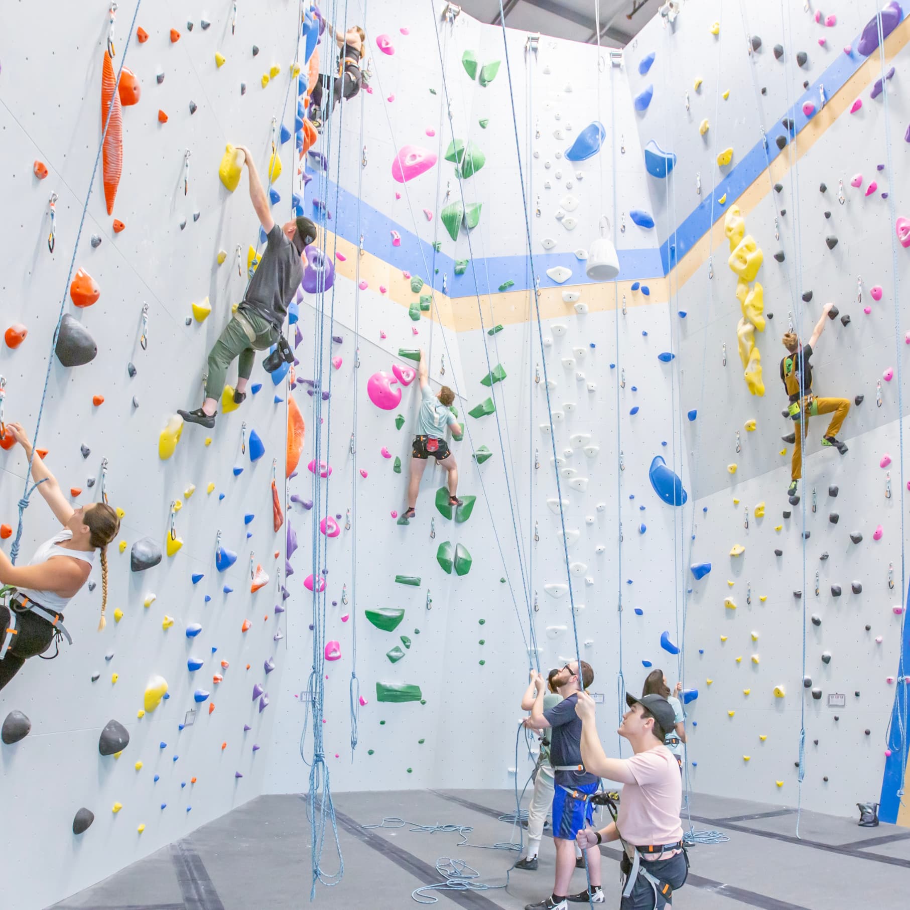 a wide photo of top rope climbing at central rock gym