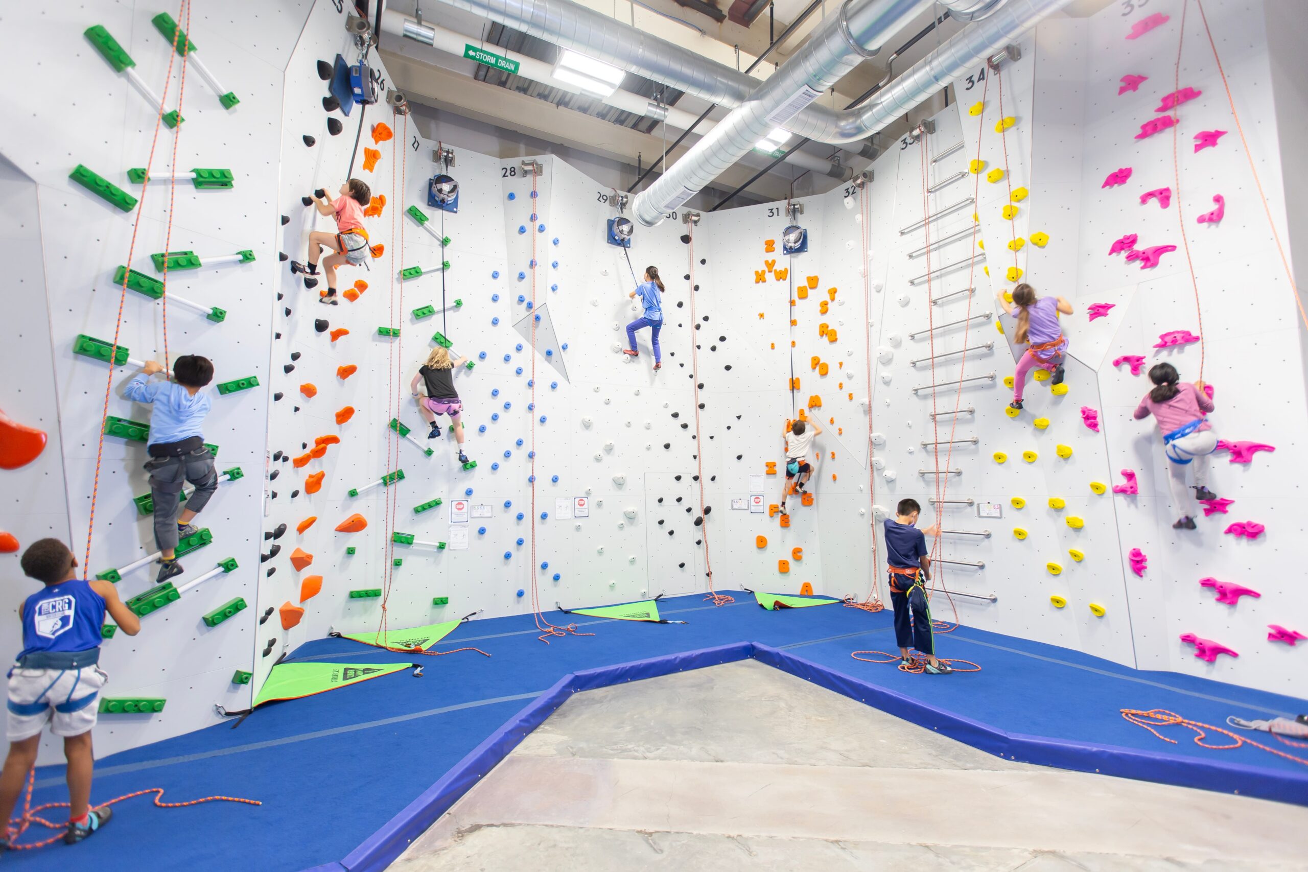 a group of people top rope climbing at central rock gym