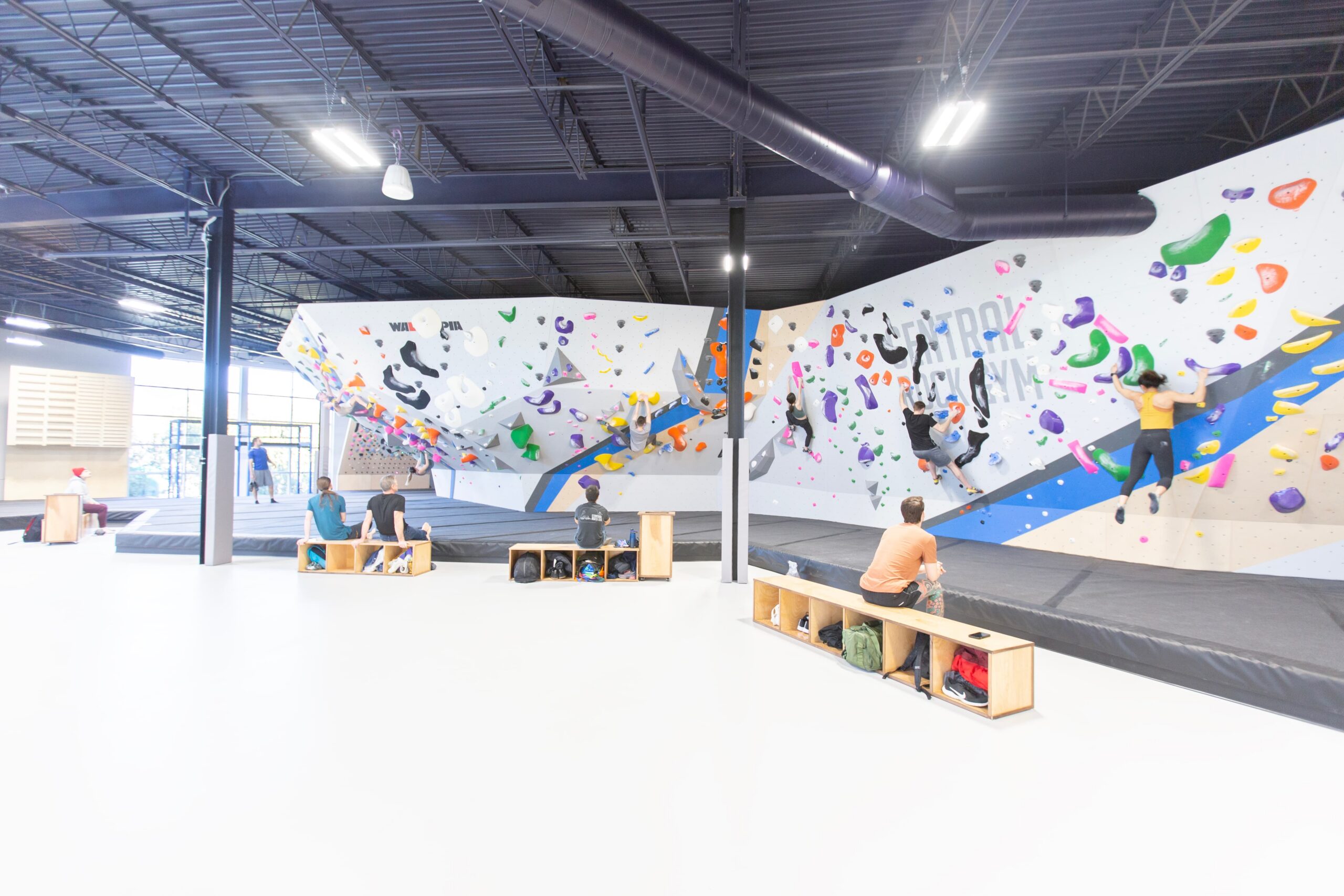 a wide photo of people bouldering at central rock gym