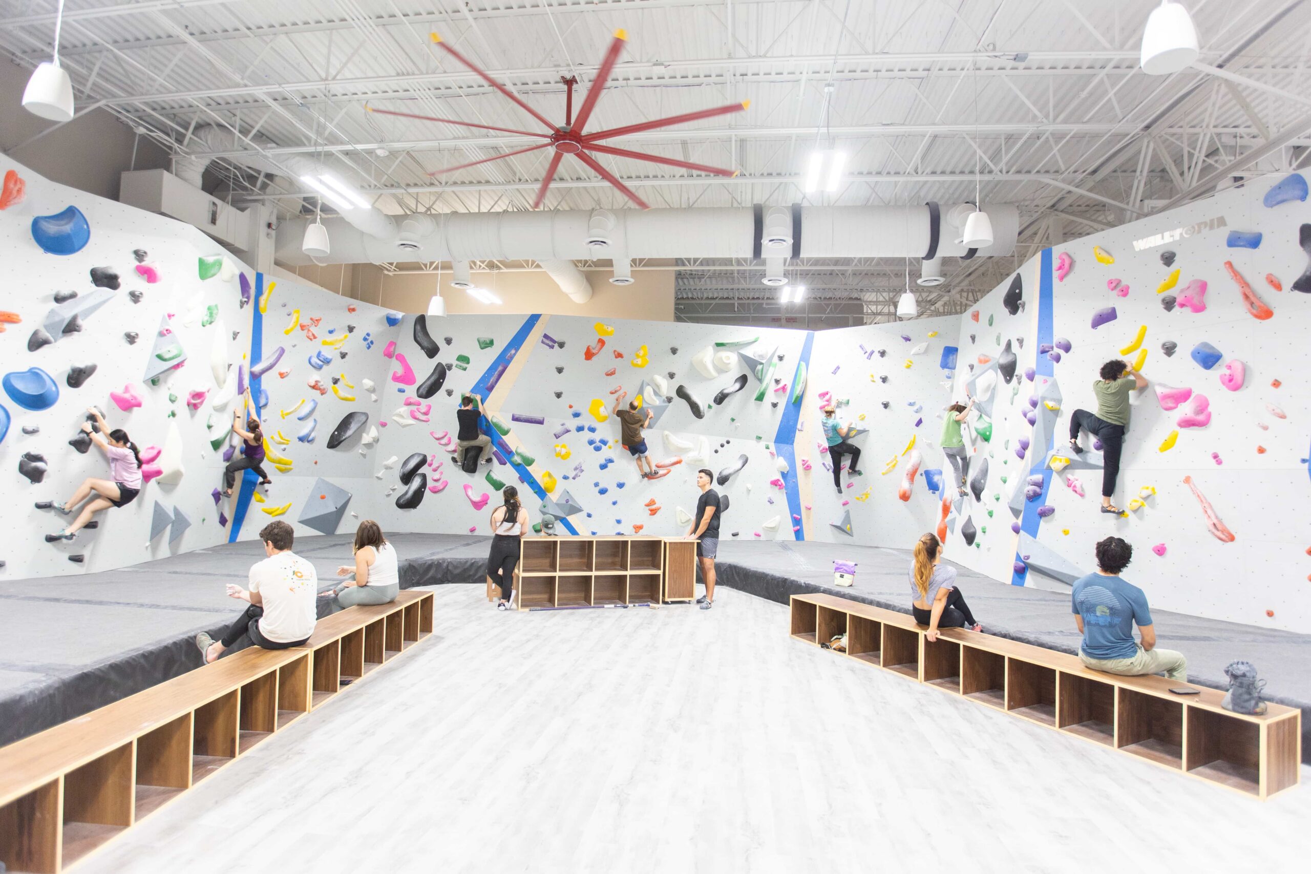 a wide photo of people Bouldering at central rock gym